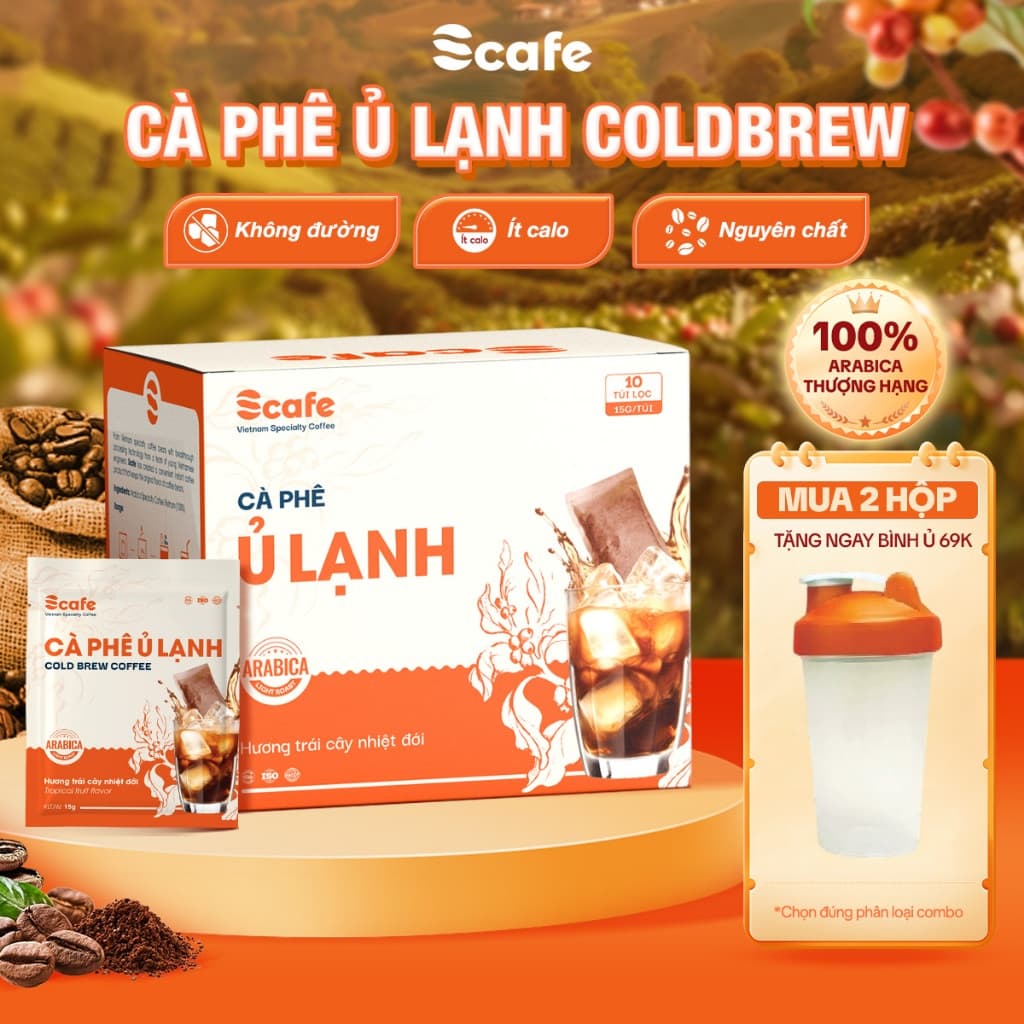 Cà Phê Ủ Lạnh Cold Brew Hạt Arabica Thượng Hạng Nguyên Chất Nốt Hương Trái Cây Nhiệt Đới Scafe Việt Nam